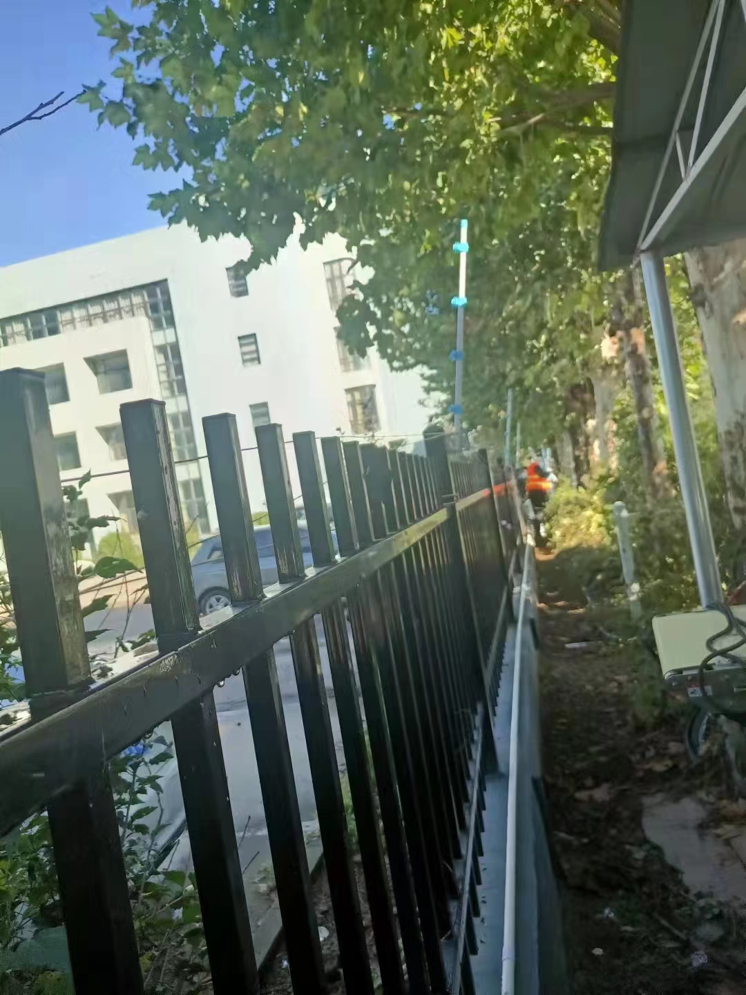 1679455949422529.jpg